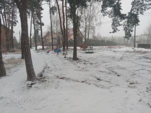 Prace w parku prowadzono w zimie